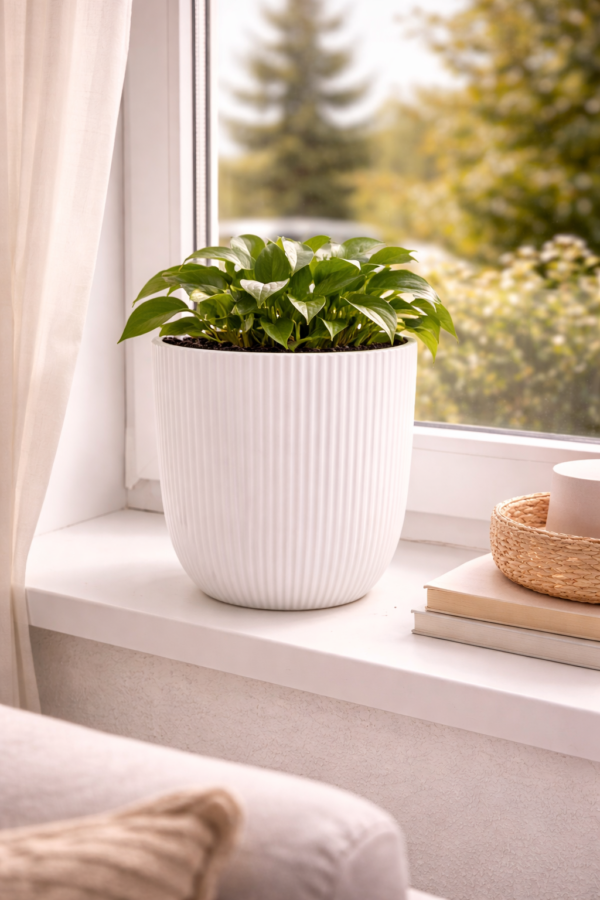 fda5d19acc2549270a954bf92ef2ed11.png 091b69010a52dfae963d2a0f3b6637da