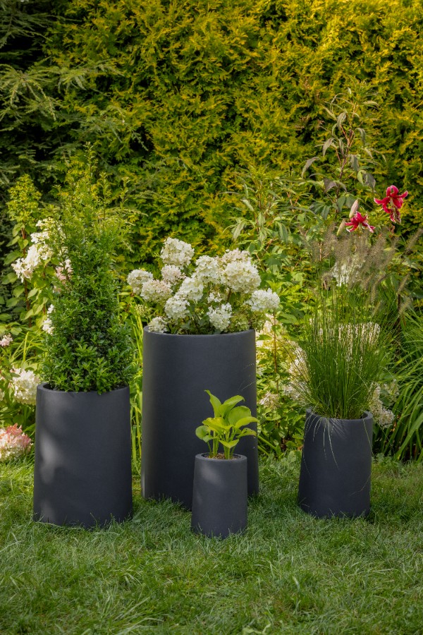 6be15956d335ed7580a84161f356312d